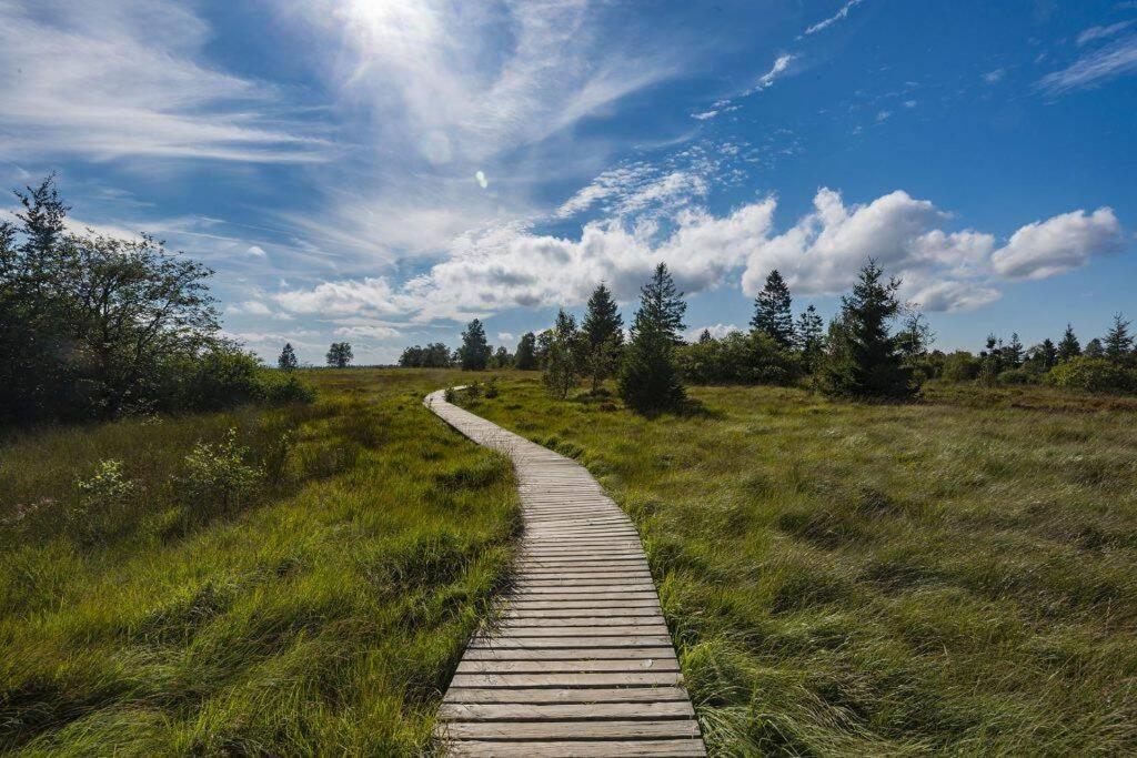 La Harde 31 pers Malmedy, vue, wellness, jardin Villa Buitenkant foto