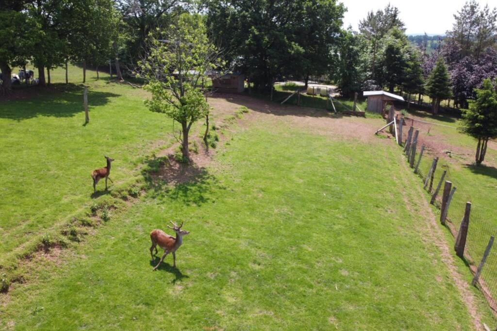 La Harde 31 pers Malmedy, vue, wellness, jardin Villa Buitenkant foto