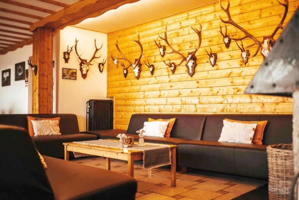 La Harde 31 pers Malmedy, vue, wellness, jardin Villa Buitenkant foto